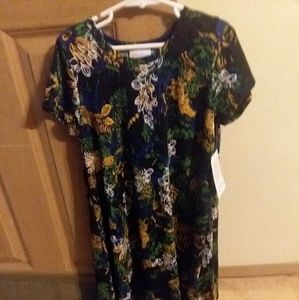 Lularoe sz 10 girls scarlette dress